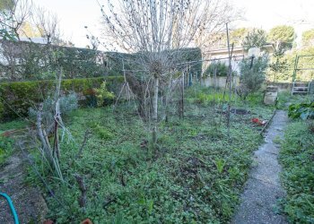 Giardino - Casa indipendente Agugliano - foto 11