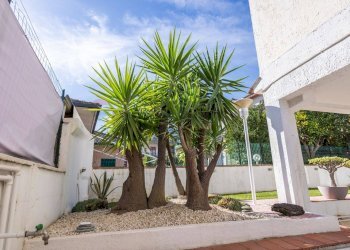 Giardino - Villa via XXIV maggio
 
15, Viagrande - foto 4