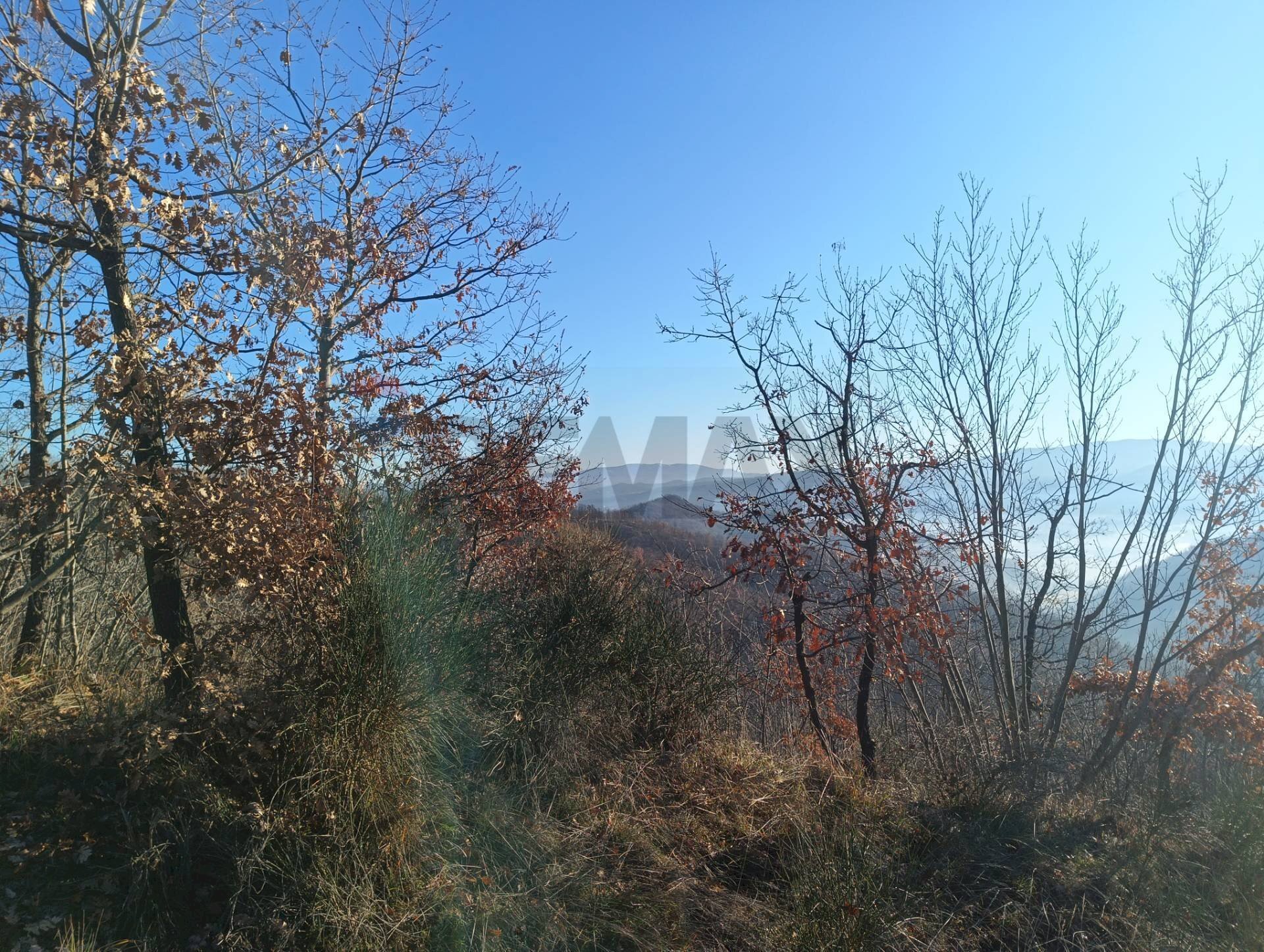 Vista delle montagne - Rustico Case Sparse, Cairo Montenotte - foto 3