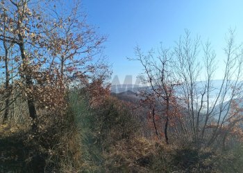 Vista delle montagne - Rustico Case Sparse, Cairo Montenotte - foto 3