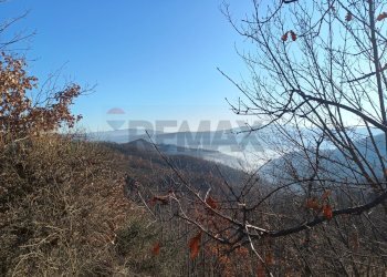 Vista delle montagne - Rustico Case Sparse, Cairo Montenotte - foto 4