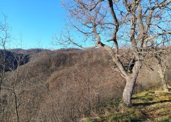 Vista delle montagne - Rustico Case Sparse, Cairo Montenotte - foto 8