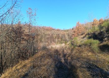 Vista delle montagne - Rustico Case Sparse, Cairo Montenotte - foto 15