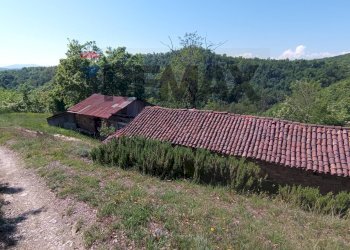 Casa all\'aperto - Rustico Case Sparse, Cairo Montenotte - foto 38