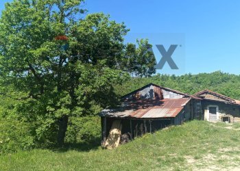 Casa all\'aperto - Rustico Case Sparse, Cairo Montenotte - foto 41