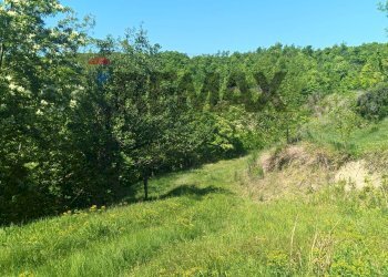 Giardino - Rustico Case Sparse, Cairo Montenotte - foto 63