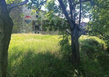 Giardino - Rustico Case Sparse, Cairo Montenotte - foto 64