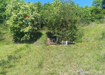 Giardino - Rustico Case Sparse, Cairo Montenotte - foto 67
