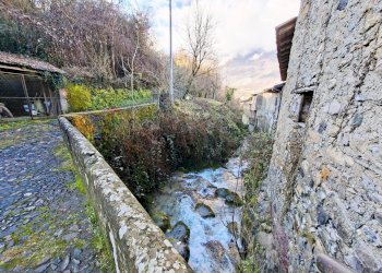 Giardino - Casa indipendente Endine Gaiano - foto 67