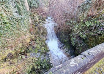 Giardino - Casa indipendente Endine Gaiano - foto 68