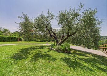 Giardino - Casa semi indipendente Via dello Scopiglieto, Formello - foto 27