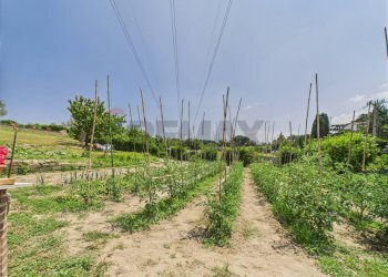 Giardino - Casa semi indipendente Via dello Scopiglieto, Formello - foto 34