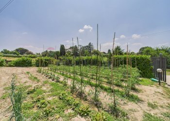 Giardino - Casa semi indipendente Via dello Scopiglieto, Formello - foto 35