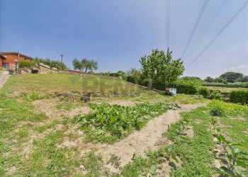 Giardino - Casa semi indipendente Via dello Scopiglieto, Formello - foto 36