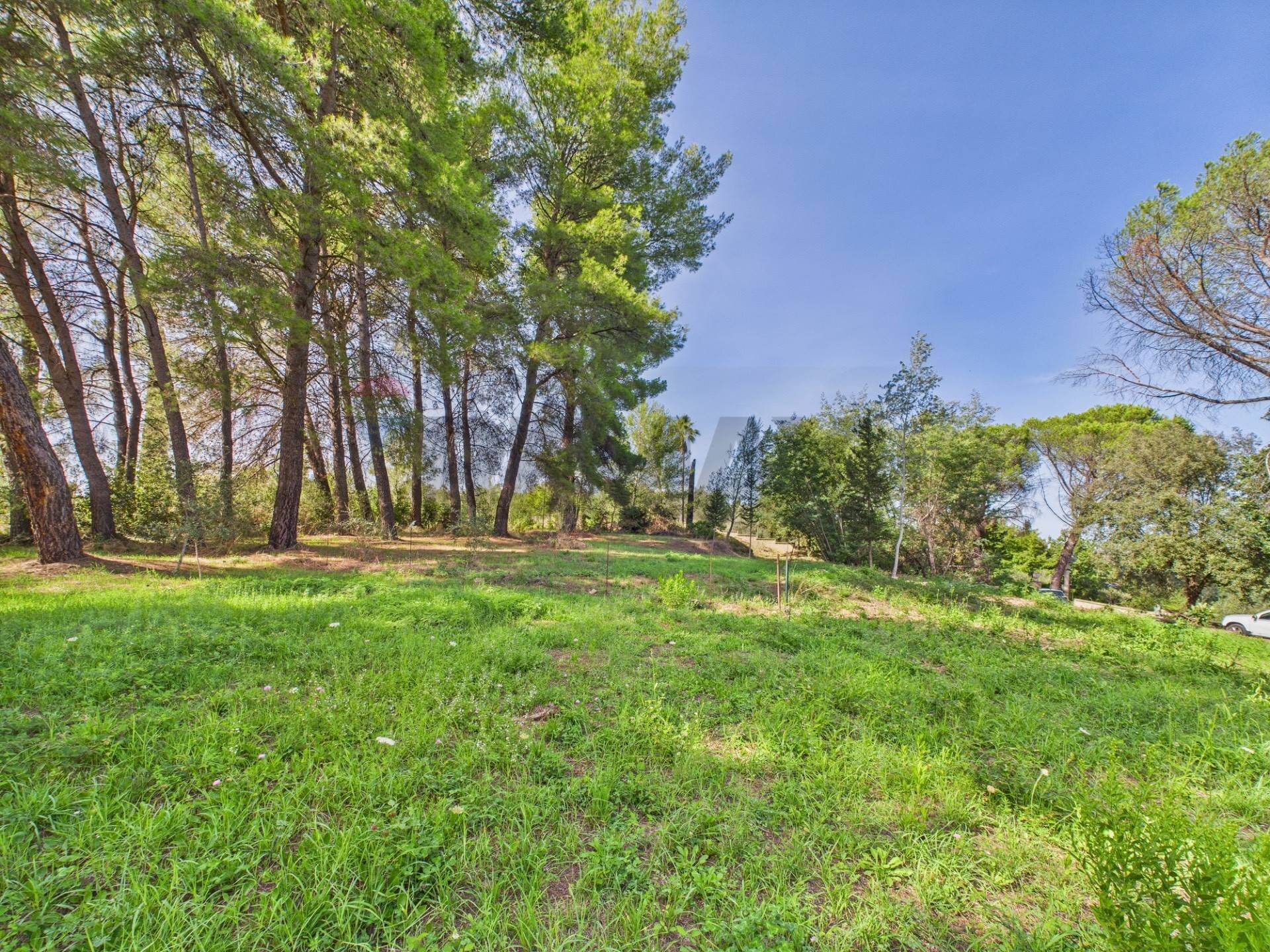 Giardino - Terreno agricolo via monte pellegrino
 
20, Sacrofano - foto 1