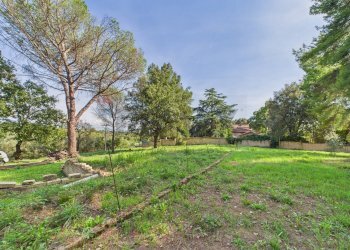 Giardino - Agricultural land via monte pellegrino
20, Sacrofano - photo 2