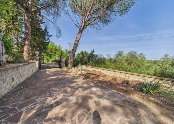 Terrazza - Agricultural land via monte pellegrino
20, Sacrofano - photo 5