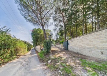 Giardino - Agricultural land via monte pellegrino
20, Sacrofano - photo 7