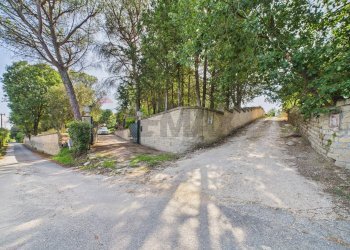 Giardino - Agricultural land via monte pellegrino
20, Sacrofano - photo 8