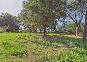 Giardino - Agricultural land via monte pellegrino
20, Sacrofano - photo 9