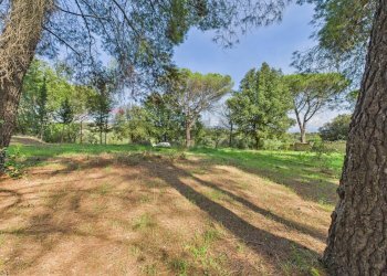 Giardino - Agricultural land via monte pellegrino
20, Sacrofano - photo 11