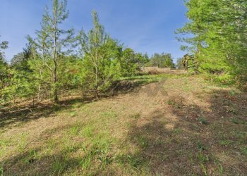 Giardino - Agricultural land via monte pellegrino
20, Sacrofano - photo 12