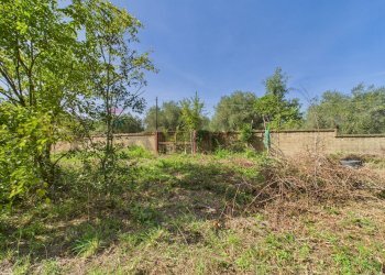 Giardino - Agricultural land via monte pellegrino
20, Sacrofano - photo 13