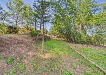 Giardino - Agricultural land via monte pellegrino
20, Sacrofano - photo 15