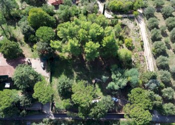 Giardino - Agricultural land via monte pellegrino
20, Sacrofano - photo 17