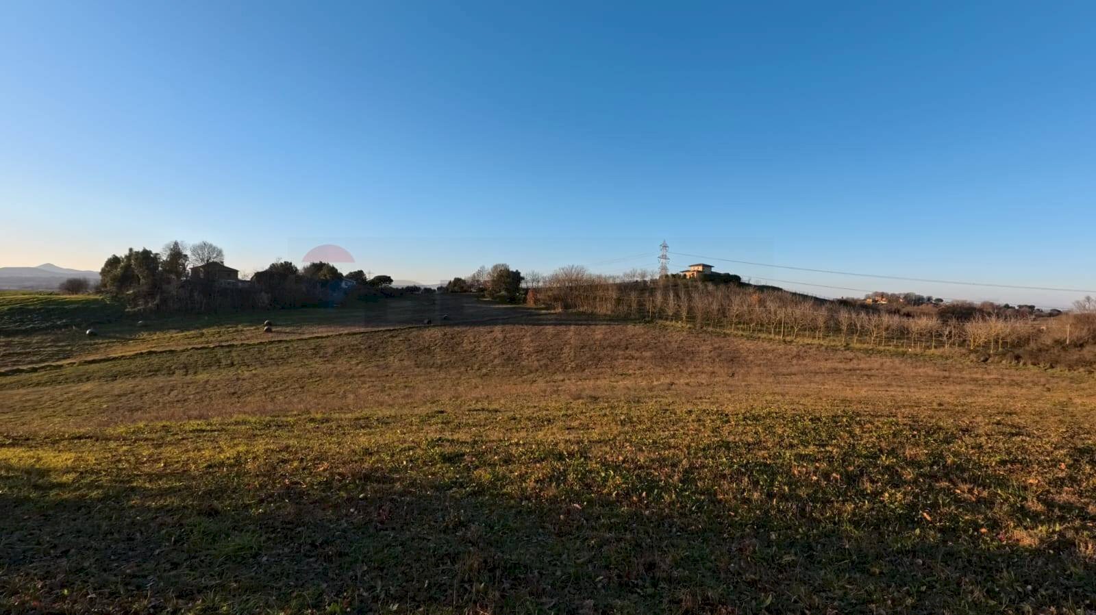 Giardino - Agricultural land Mazzano Romano - photo 3