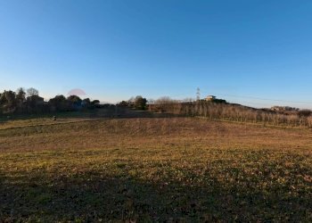 Giardino - Terreno agricolo Mazzano Romano - foto 3