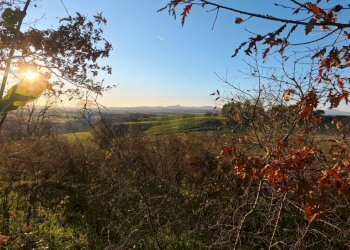 Vista delle montagne - Terreno agricolo Mazzano Romano - foto 4