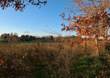 Edificio all\'aperto - Terreno agricolo Mazzano Romano - foto 7