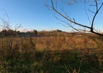 Edificio all\'aperto - Terreno agricolo Mazzano Romano - foto 9