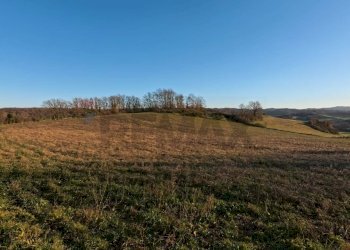 Vista delle montagne - Terreno agricolo Mazzano Romano - foto 15