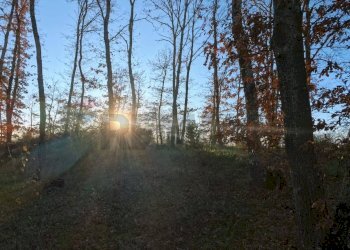 Non correlato - Terreno agricolo Mazzano Romano - foto 25
