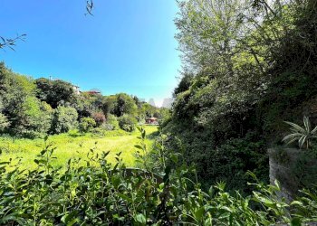 Giardino - Trilocale Formello - foto 25