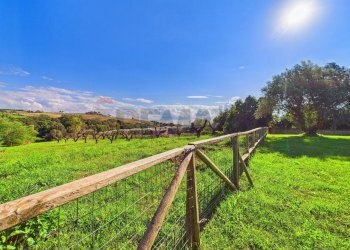 Giardino - Villa VIA MONTE STALLONE, Formello - foto 35