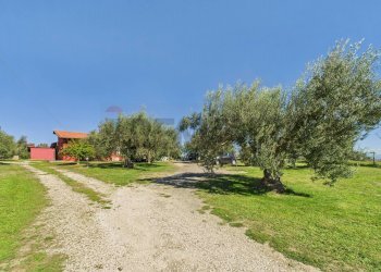 Giardino - Villa Via dello Biscio, Formello - foto 26