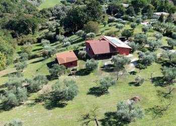 Casa all\'aperto - Villa Via dello Biscio, Formello - foto 31