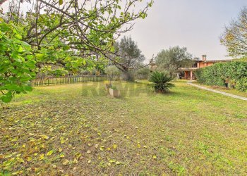 Giardino - Villa a Schiera VIA TERRE DI BETTONA
 
6, Formello - foto 7