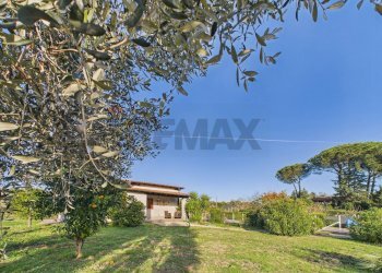 Giardino - Villa Via del Praticello Alto
 
22, Formello - foto 6