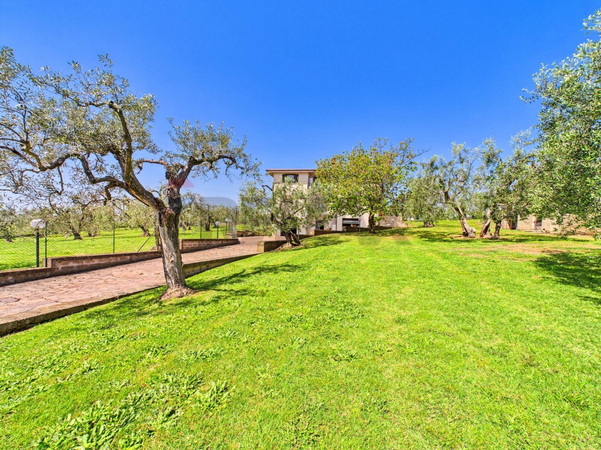 Giardino - Four-room apartment via montefiore
 
20, Formello - photo 3