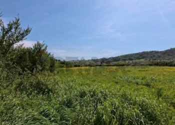 Vista delle montagne - Agricultural land Campagnano di Roma - photo 1