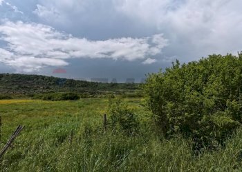 Vista delle montagne - Agricultural land Campagnano di Roma - photo 3