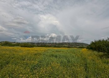 Giardino - Agricultural land Campagnano di Roma - photo 4