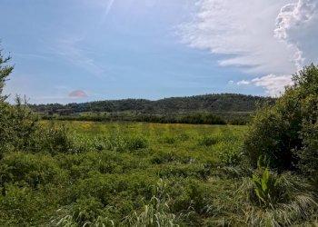 Vista delle montagne - Agricultural land Campagnano di Roma - photo 10