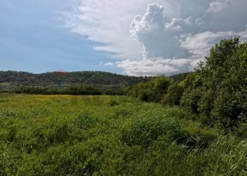 Vista delle montagne - Agricultural land Campagnano di Roma - photo 11