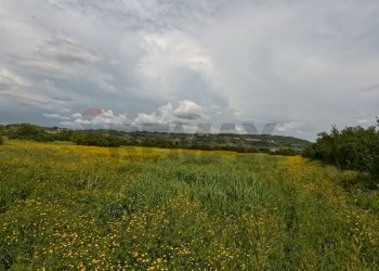 Giardino - Agricultural land Campagnano di Roma - photo 13