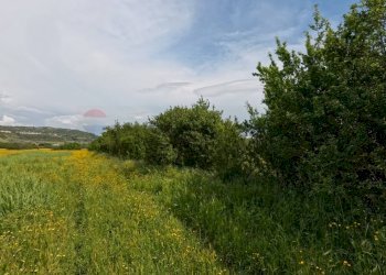 Giardino - Agricultural land Campagnano di Roma - photo 14